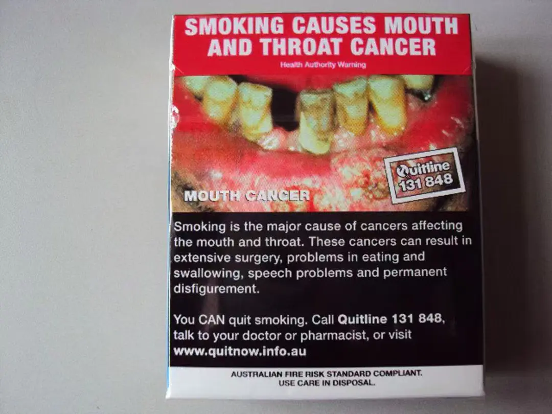 Winfield Blue - Image 2